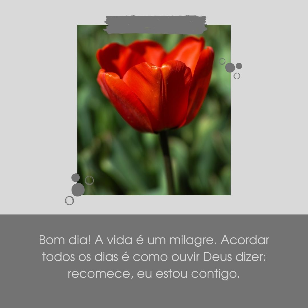 Bom dia! A vida é um milagre. Acordar todos os dias é como ouvir Deus dizer: recomece, eu estou contigo.