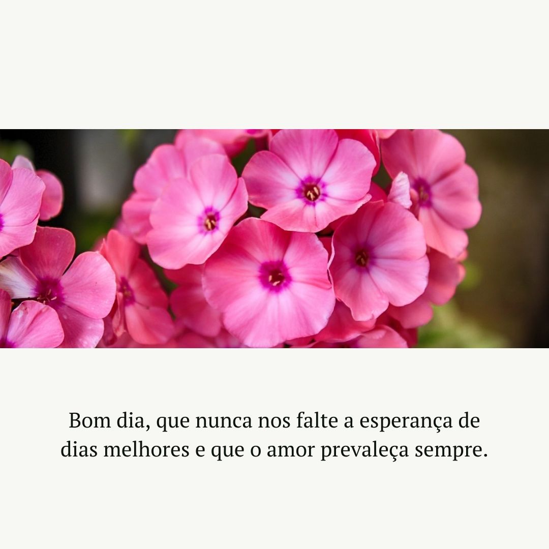 Bom dia, que nunca nos falte a esperança de dias melhores e que o amor prevaleça sempre.