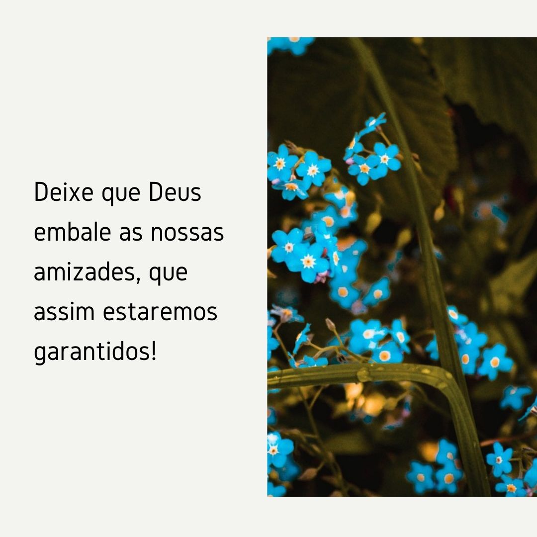 Deixe que Deus embale as nossas amizades, que assim estaremos garantidos!