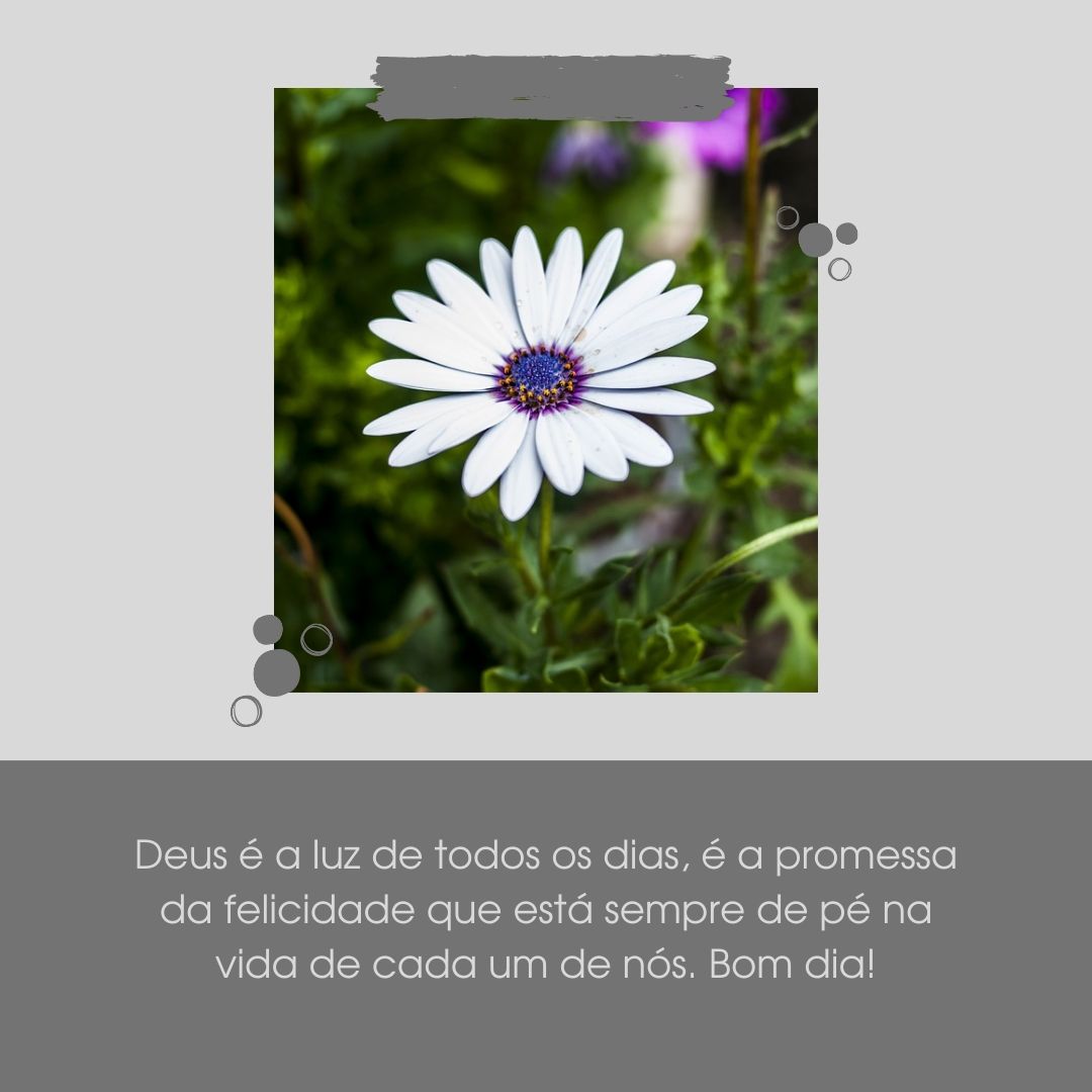 Deus é a luz de todos os dias, é a promessa da felicidade que está sempre de pé na vida de cada um de nós. Bom dia!