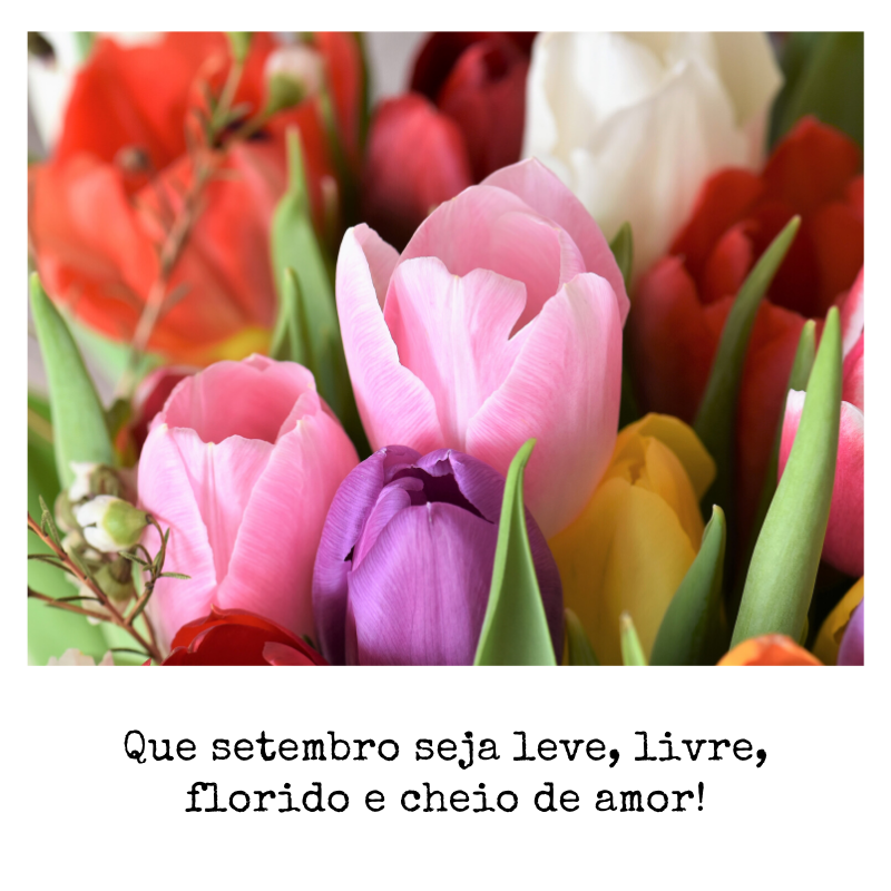 Que setembro seja leve, livre, florido e cheio de amor!