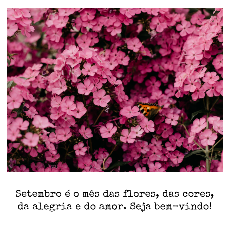 Setembro é o mês das flores, das cores, da alegria e do amor. Seja bem-vindo!