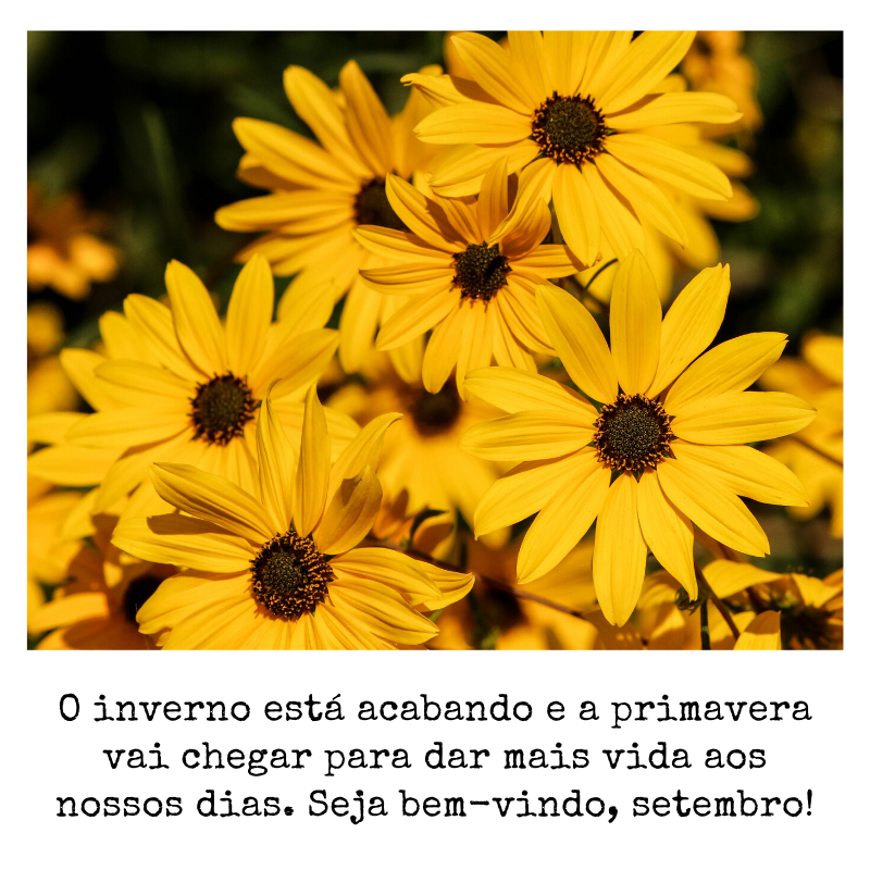 O inverno está acabando e a primavera vai chegar para dar mais vida aos nossos dias. Seja bem-vindo, setembro!