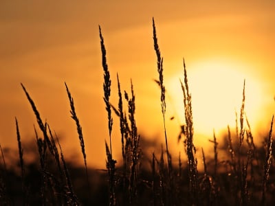 50 mensagens de bom dia de Deus para ter uma manhã abençoada