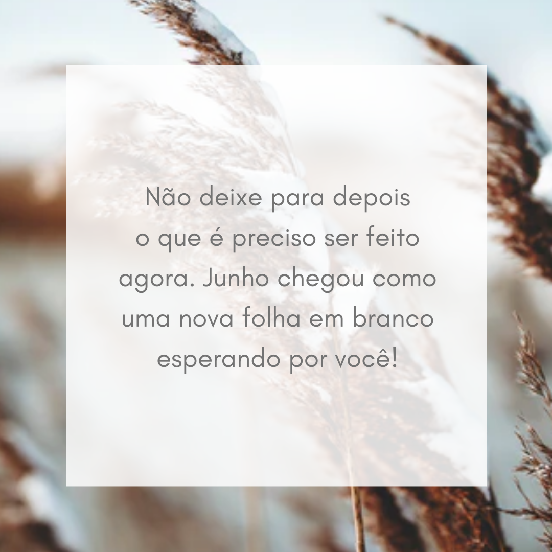 Não deixe para depois o que é preciso ser feito agora. Junho chegou como uma nova folha em branco esperando por você!