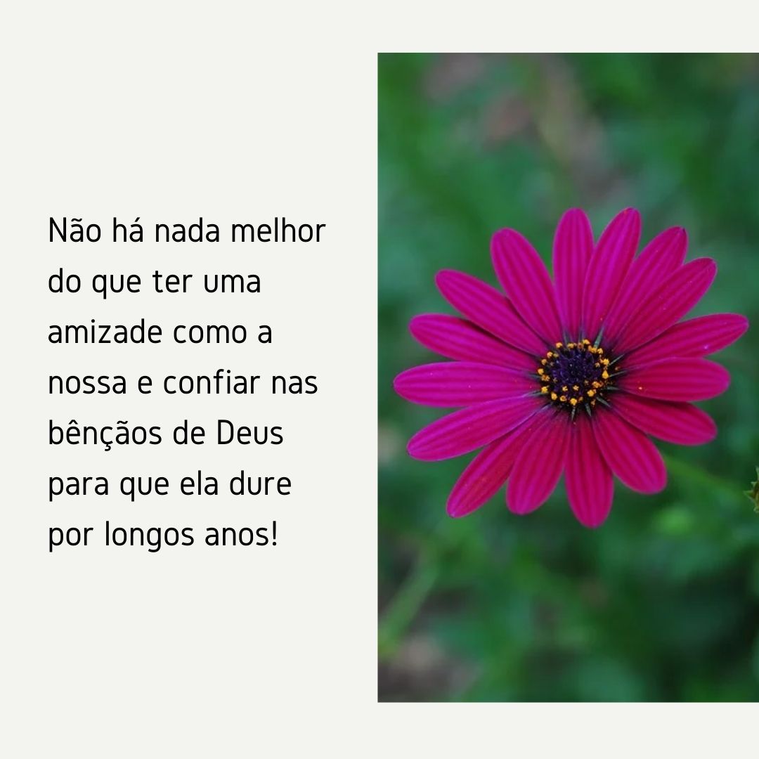 Não há nada melhor do que ter uma amizade como a nossa e confiar nas bênçãos de Deus para que ela dure por longos anos!