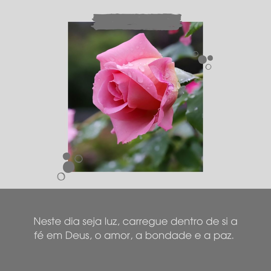 Neste dia seja luz, carregue dentro de si a fé em Deus, o amor, a bondade e a paz. 