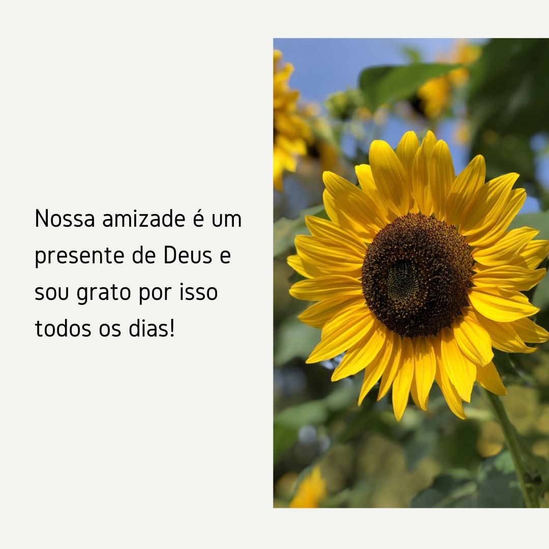 Nossa amizade é um presente de Deus e sou grato por isso todos os dias!