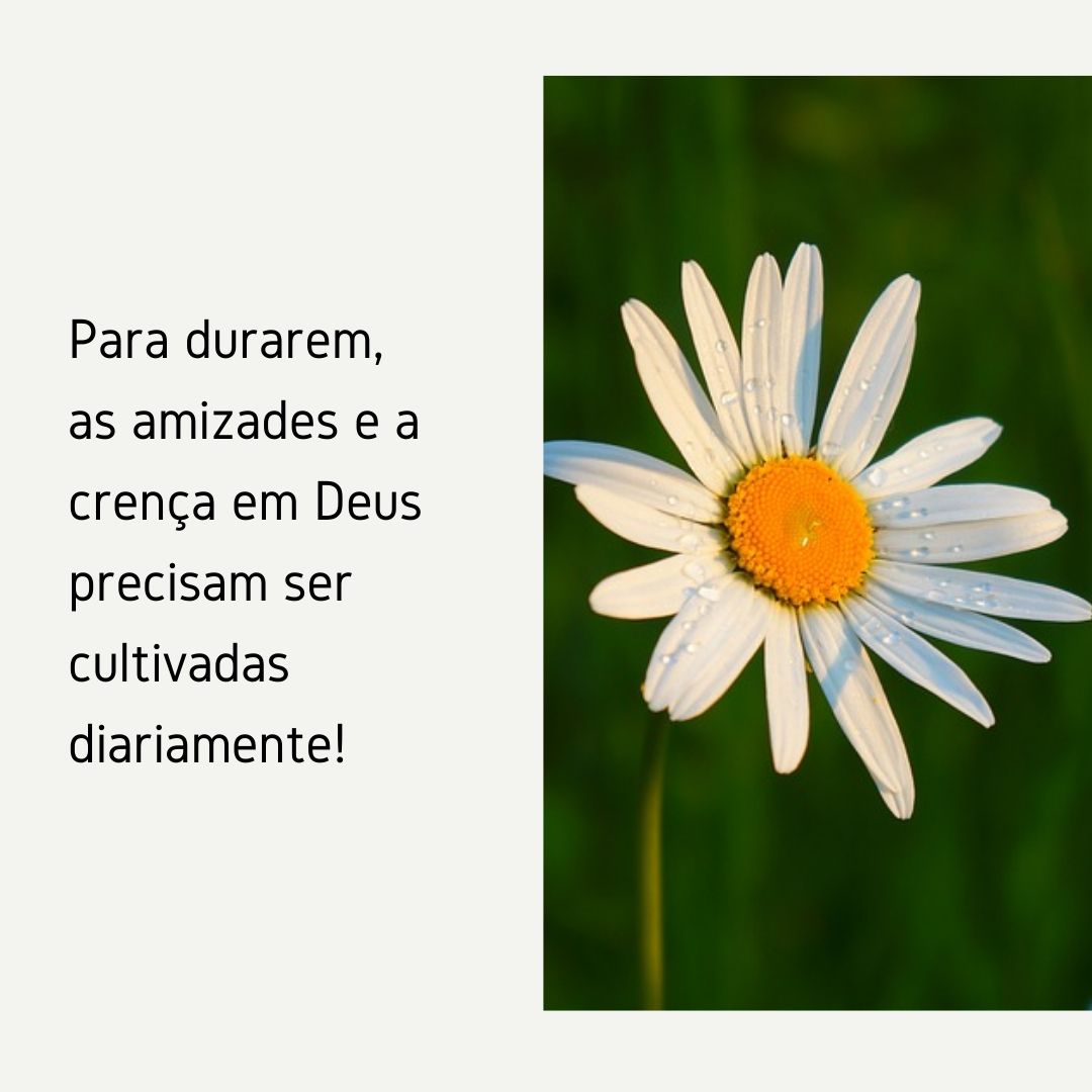 Para durarem, as amizades e a crença em Deus precisam ser cultivadas diariamente!