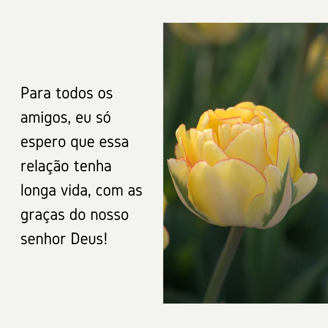 Para todos os amigos, eu só espero que essa relação tenha longa vida, com as graças do nosso senhor Deus!