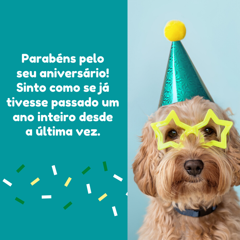 Parabéns pelo seu aniversário! Sinto como se já tivesse passado um ano inteiro desde a última vez.