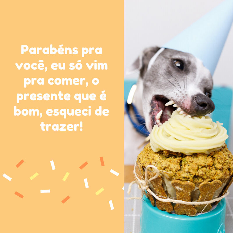 Parabéns pra você, eu só vim pra comer, o presente que é bom, esqueci de trazer!