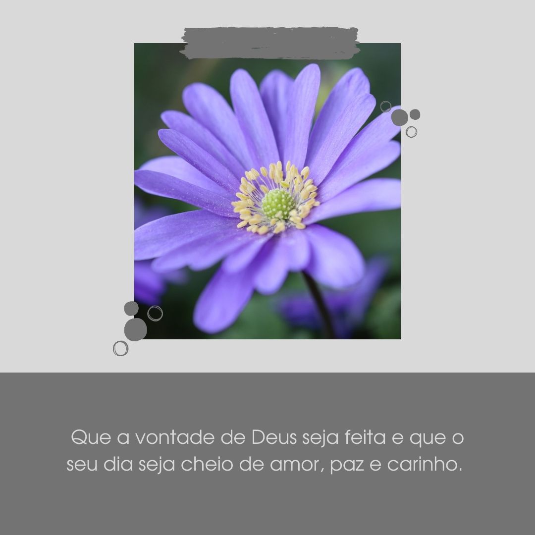 Que a vontade de Deus seja feita e que o seu dia seja cheio de amor, paz e carinho. 