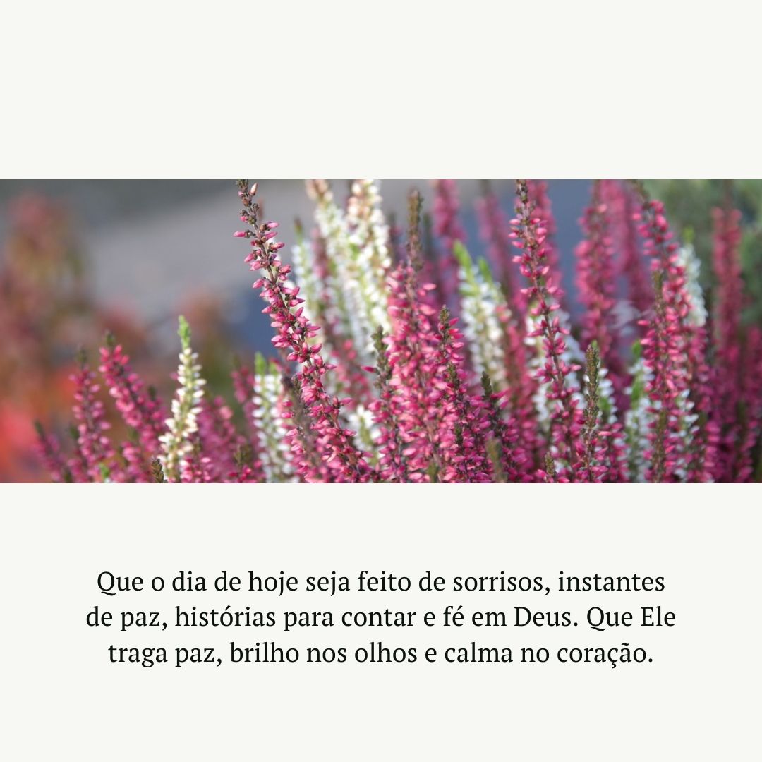 Que o dia de hoje seja feito de sorrisos, instantes de paz, histórias para contar e fé em Deus. Que Ele traga paz, brilho nos olhos e calma no coração.