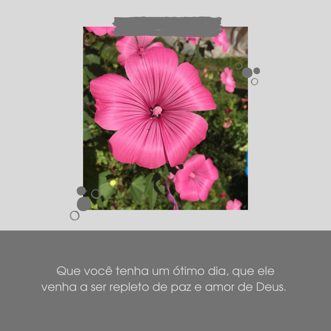 Que você tenha um ótimo dia, que ele venha a ser repleto de paz e amor de Deus. 