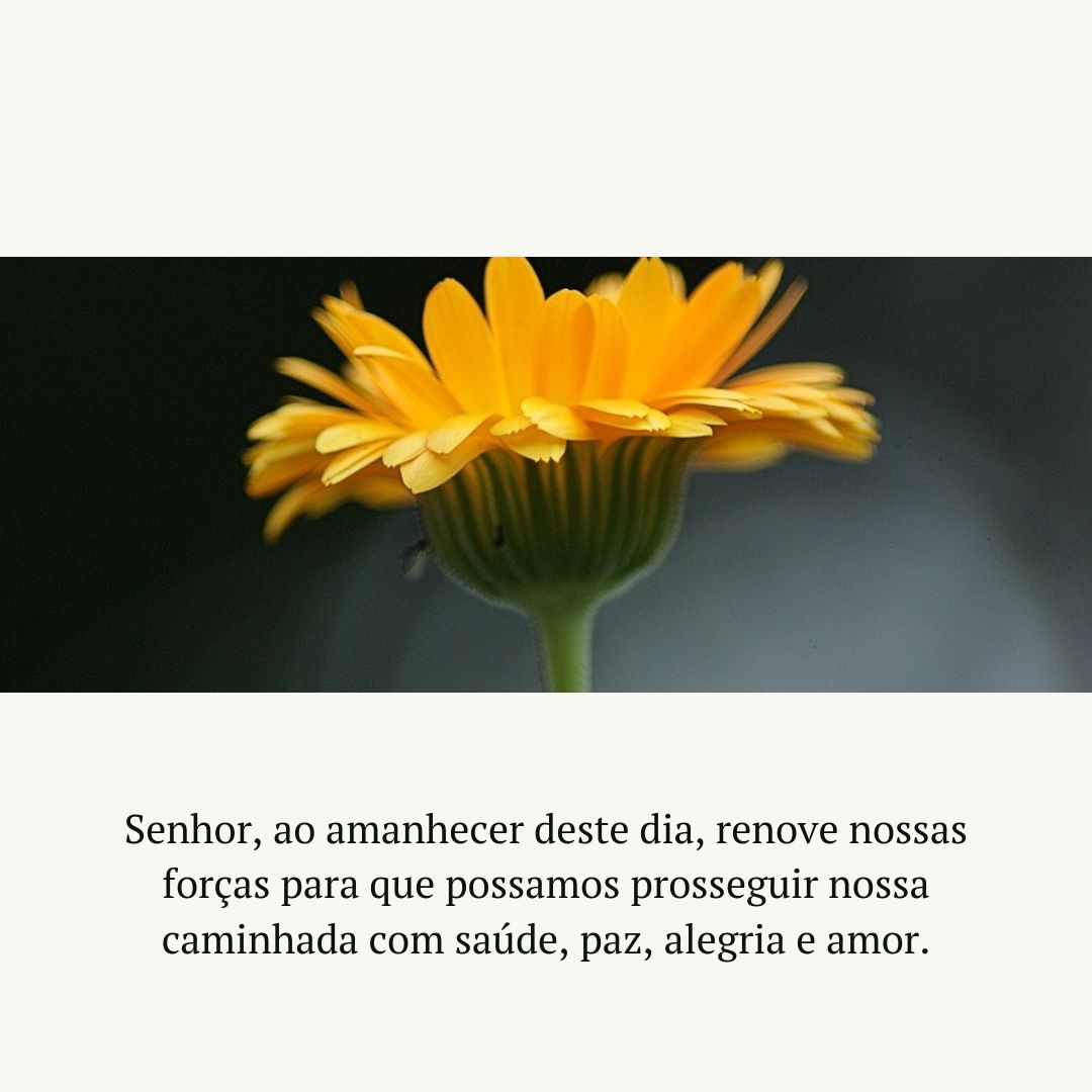 Senhor, ao amanhecer deste dia, renove nossas forças para que possamos prosseguir nossa caminhada com saúde, paz, alegria e amor.