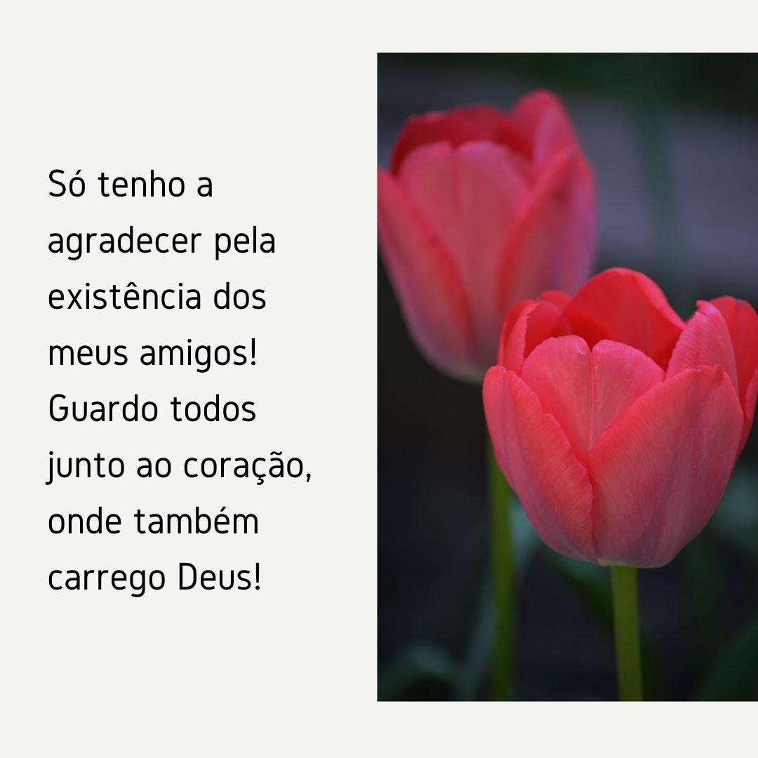 Só tenho a agradecer pela existência dos meus amigos! Guardo todos junto ao coração, onde também carrego Deus!