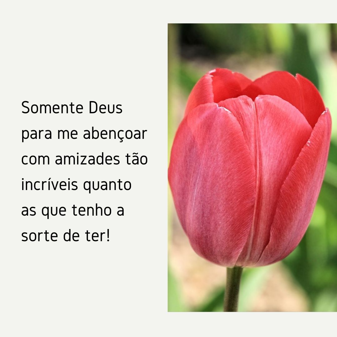 Somente Deus para me abençoar com amizades tão incríveis quanto as que tenho a sorte de ter!