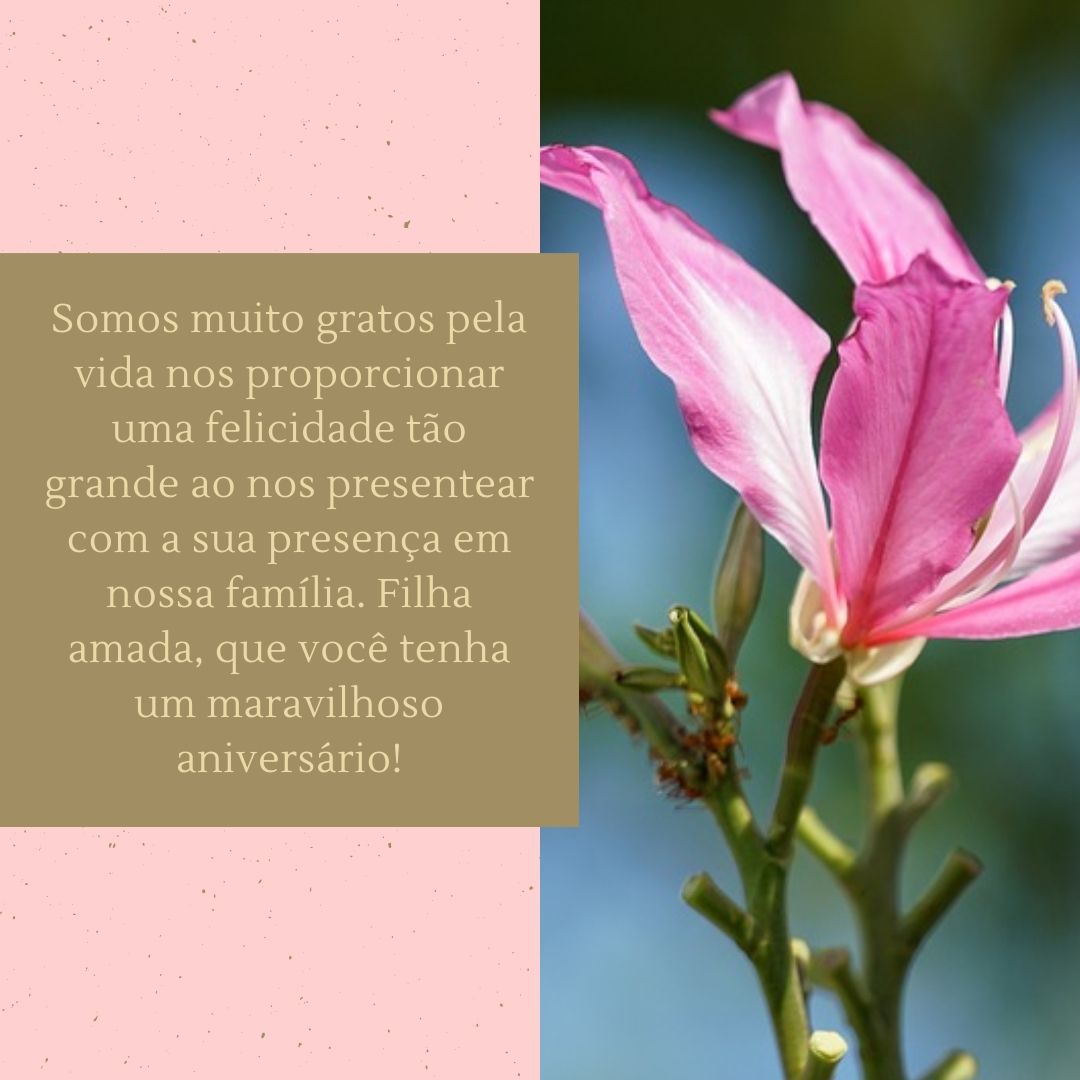 Somos muito gratos pela vida nos proporcionar uma felicidade tão grande ao nos presentear com a sua presença em nossa família. Filha amada, que você tenha um maravilhoso aniversário!