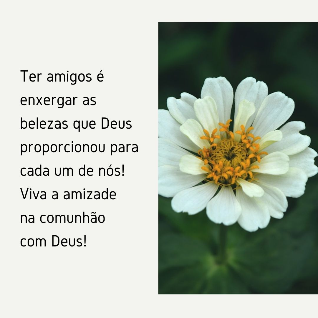 Ter amigos é enxergar as belezas que Deus proporcionou para cada um de nós! Viva a amizade na comunhão com Deus!