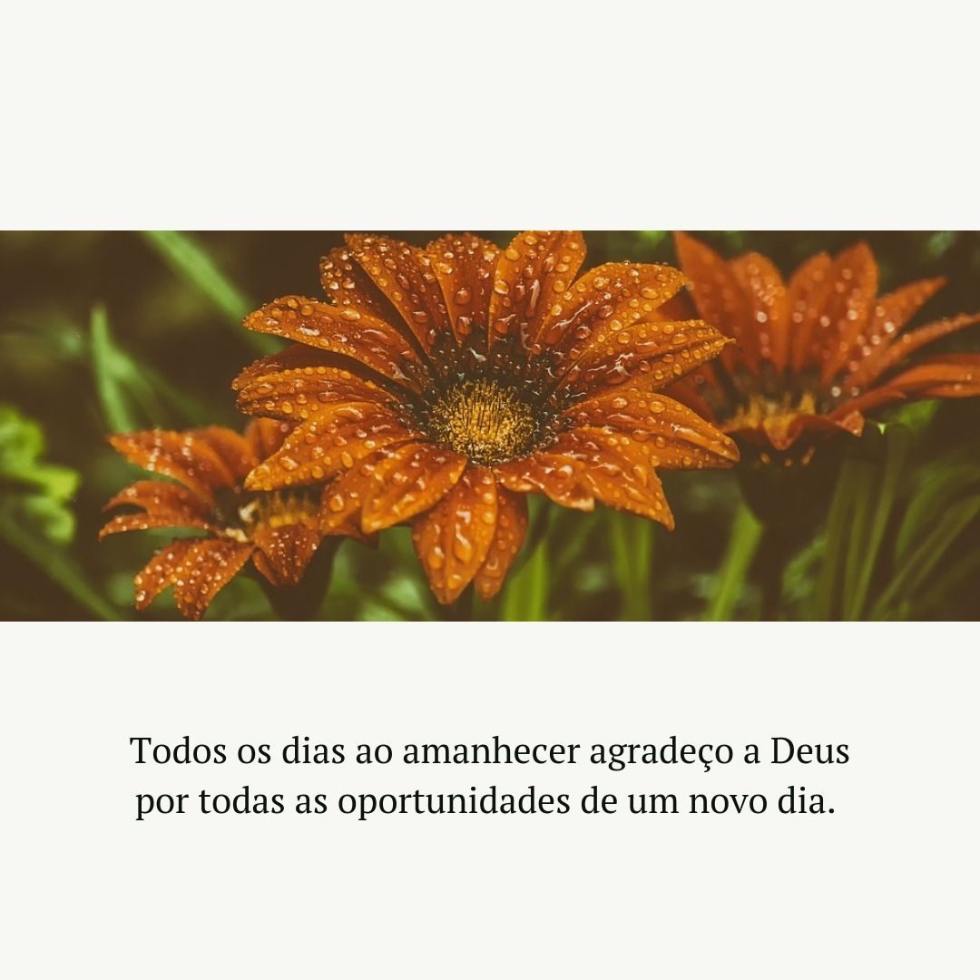 Todos os dias ao amanhecer agradeço a Deus por todas as oportunidades de um novo dia. 