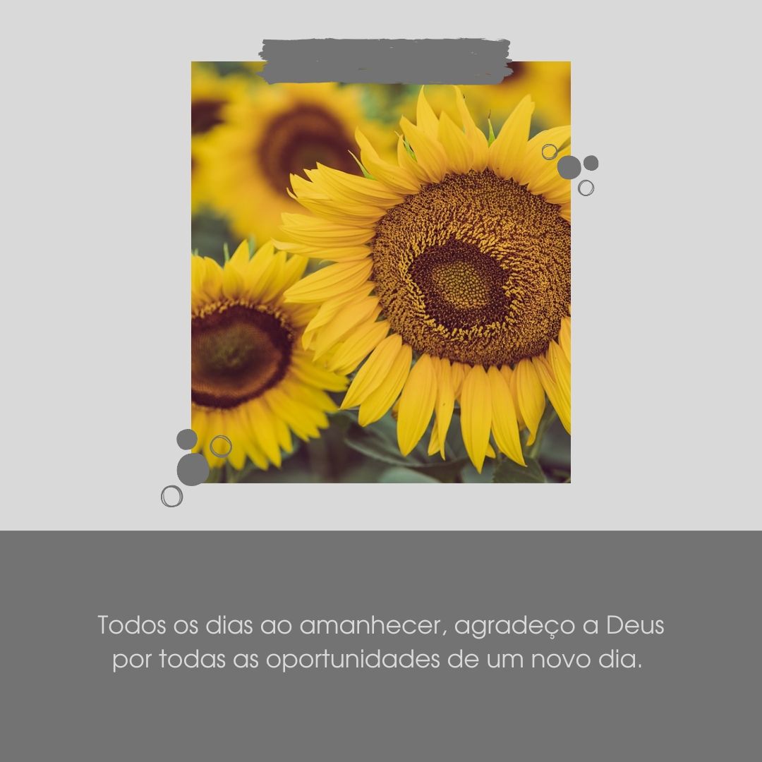 Todos os dias ao amanhecer agradeço a Deus por todas as oportunidades de um novo dia. 