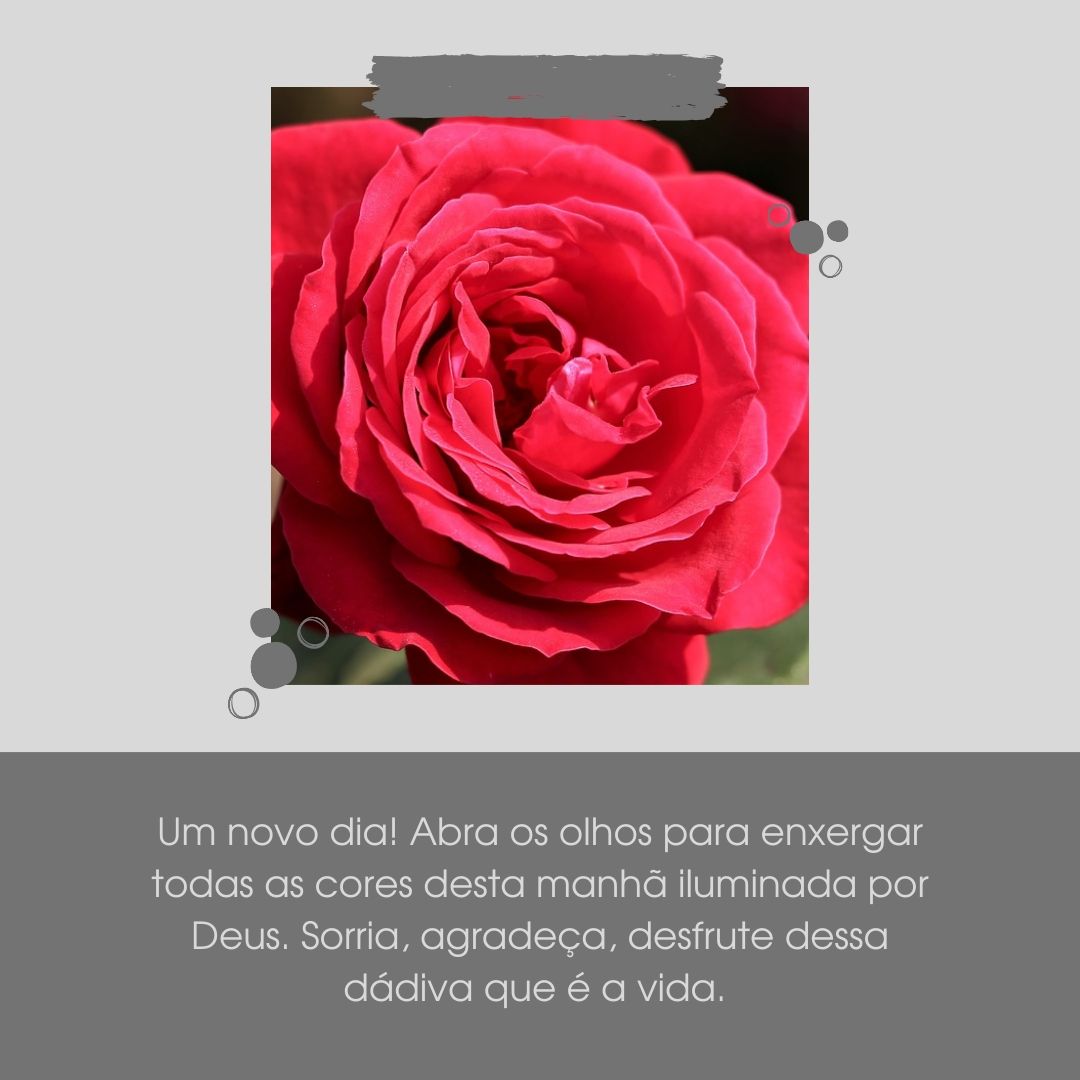 Um novo dia! Abra os olhos para enxergar todas as cores desta manhã iluminada por Deus. Sorria, agradeça, desfrute dessa dádiva que é a vida. 