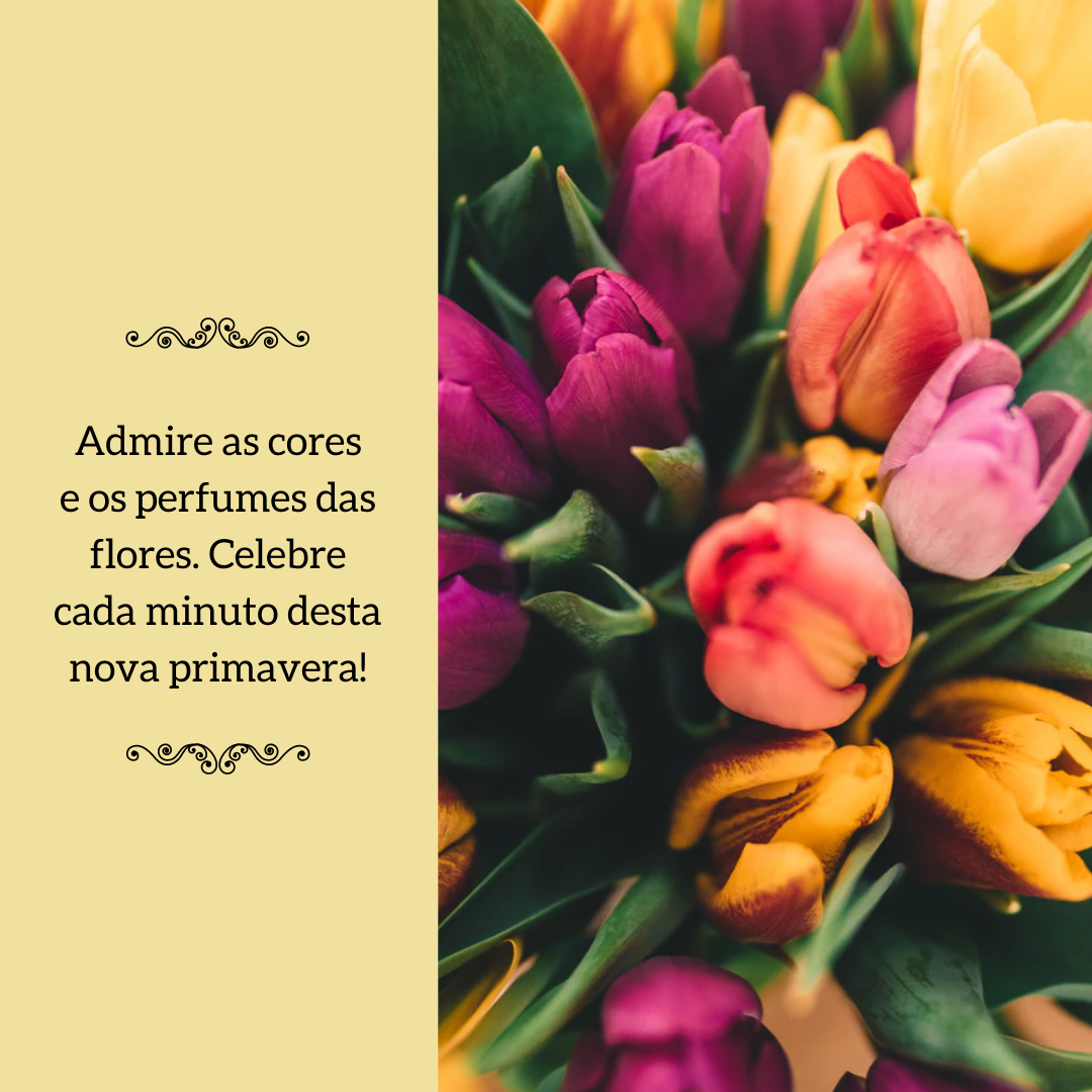 Admire as cores e os perfumes das flores. Celebre cada minuto desta nova primavera!