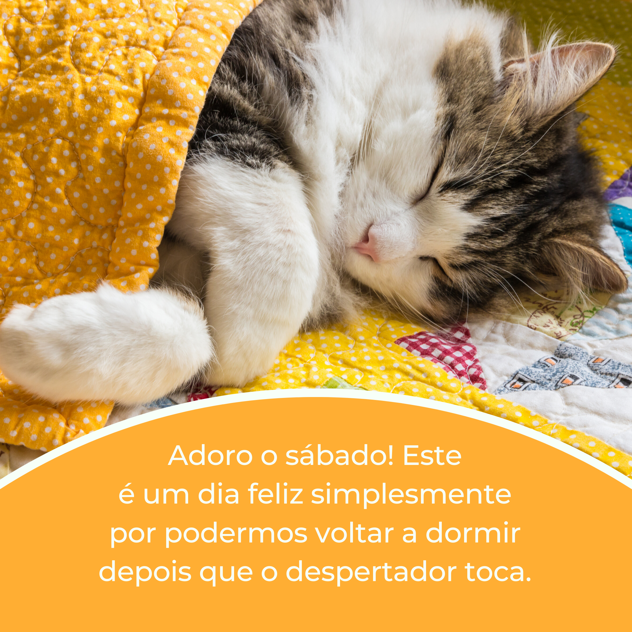 Adoro o sábado! Este é um dia feliz simplesmente por podermos voltar a dormir depois que o despertador toca.