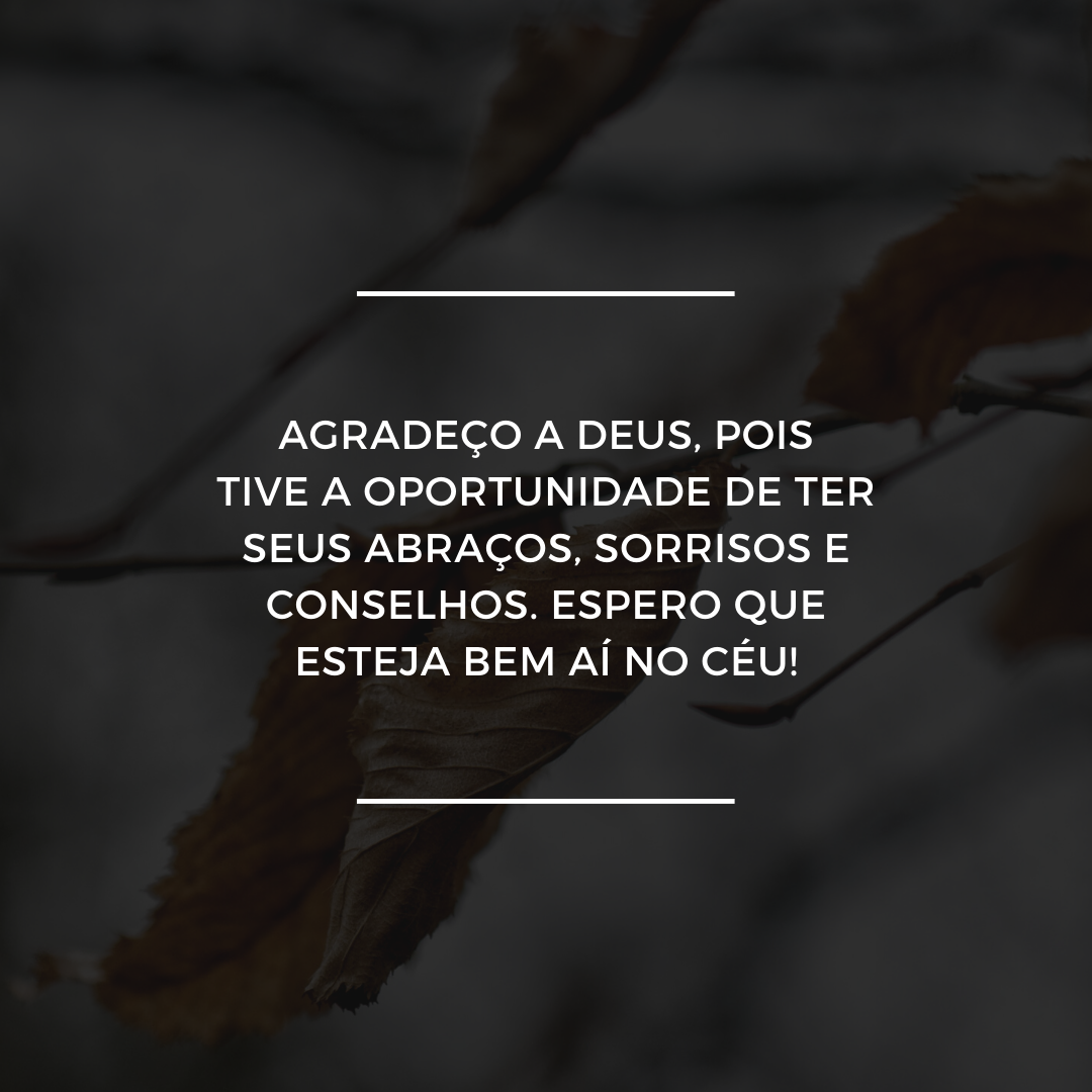 Agradeço a Deus, pois tive a oportunidade de ter seus abraços, sorrisos e conselhos. Espero que esteja bem aí no céu!