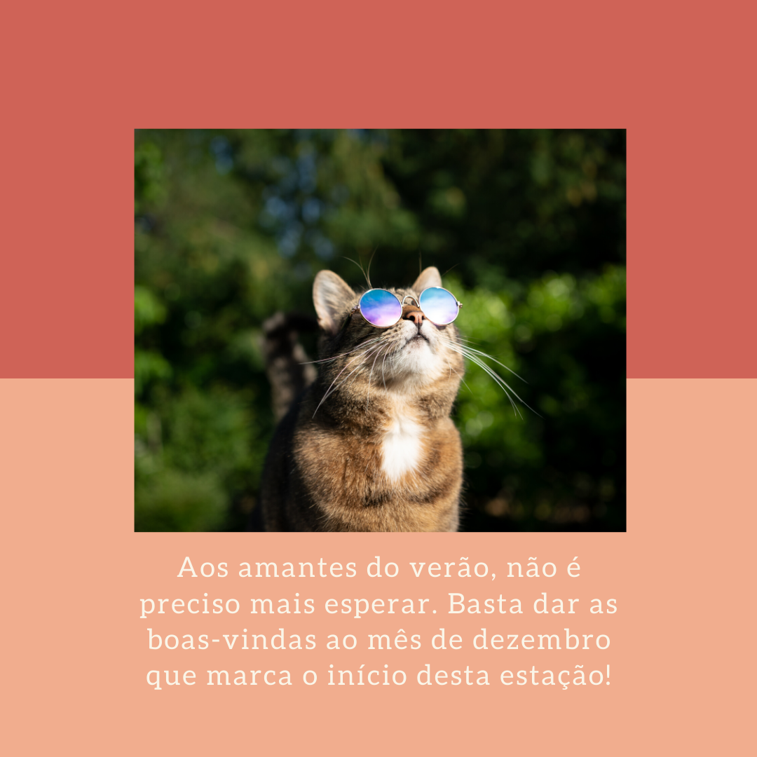 Aos amantes do verão, não é preciso mais esperar. Basta dar as boas-vindas ao mês de dezembro que marca o início desta estação!