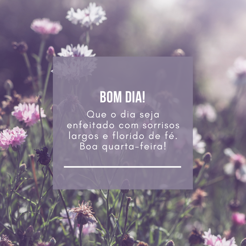 Que o dia seja enfeitado com sorrisos largos e florido de fé. Boa quarta-feira!