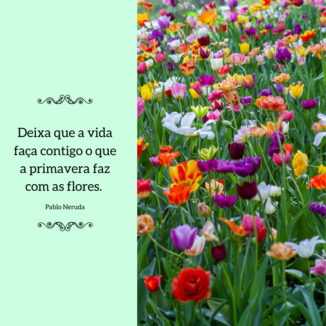 Deixa que a vida faça contigo o que a primavera faz com as flores. 