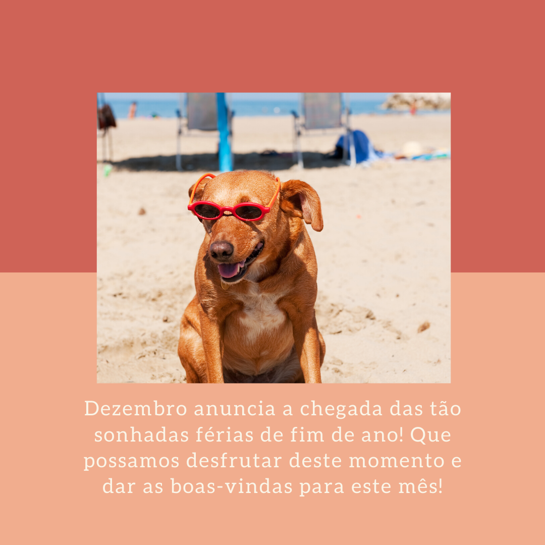 Dezembro anuncia a chegada das tão sonhadas férias de fim de ano! Que possamos desfrutar deste momento e dar as boas-vindas para este mês!