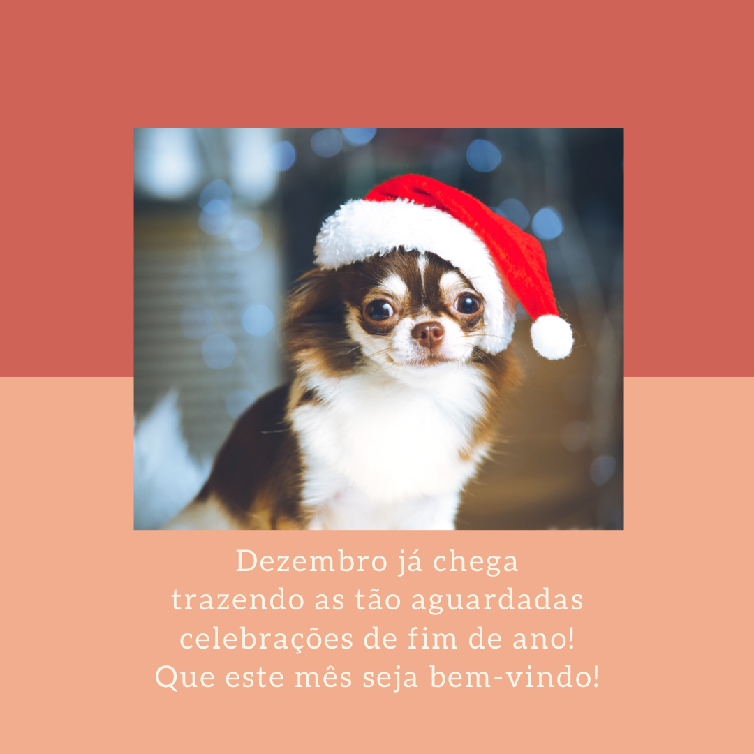 Dezembro já chega trazendo as tão aguardadas celebrações de fim de ano! Que este mês seja bem-vindo!