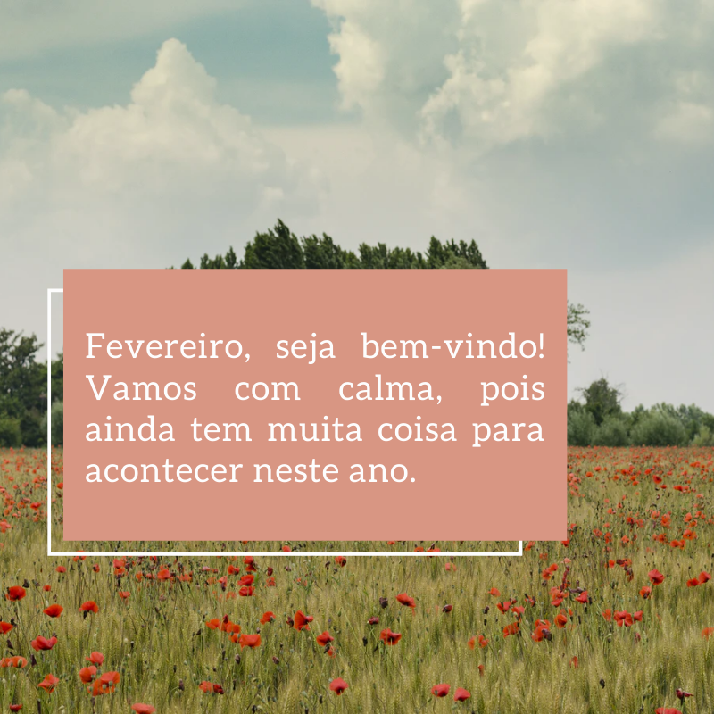 Fevereiro, seja bem-vindo! Vamos com calma, pois ainda tem muita coisa para acontecer neste ano.