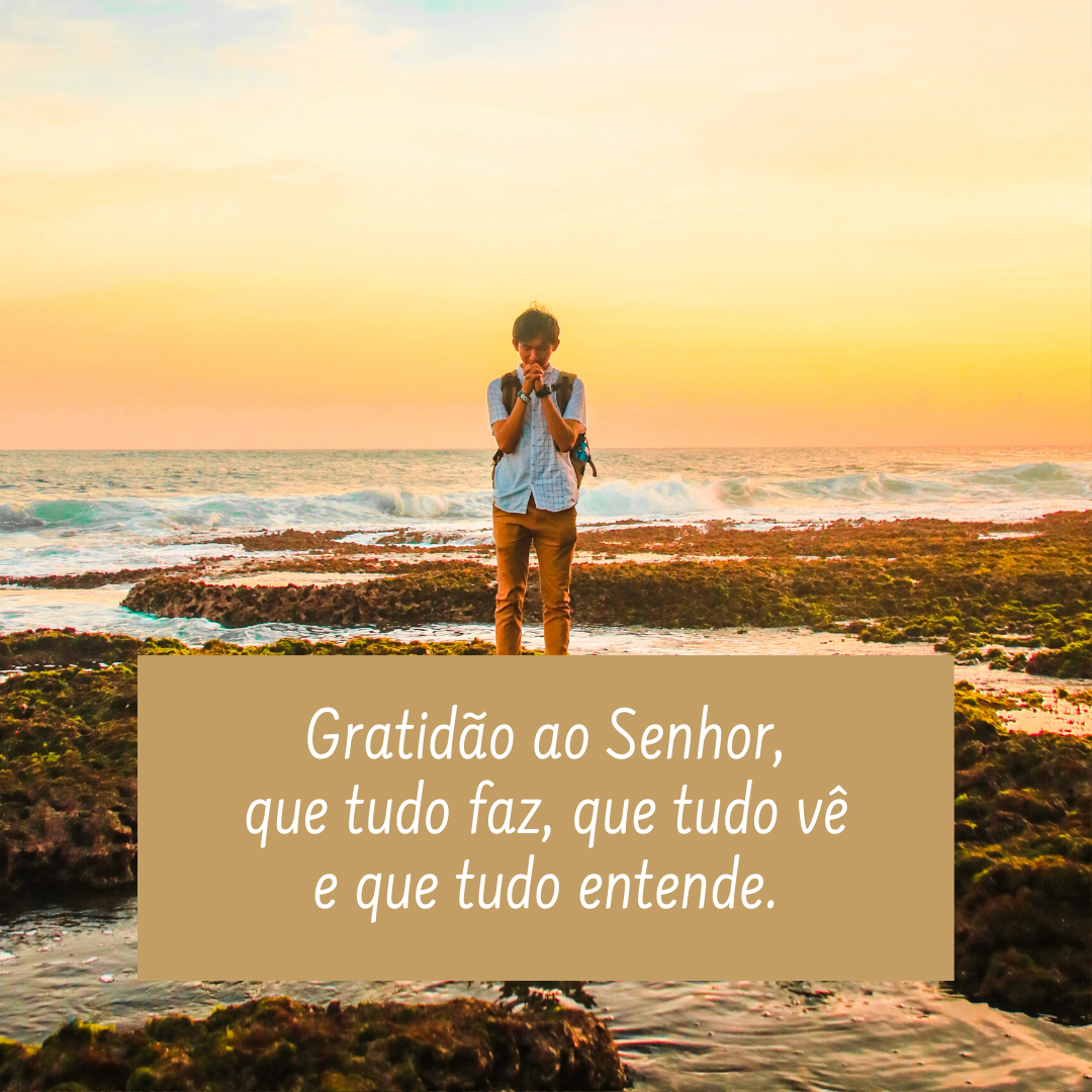 Gratidão ao Senhor, que tudo faz, que tudo vê e que tudo entende.