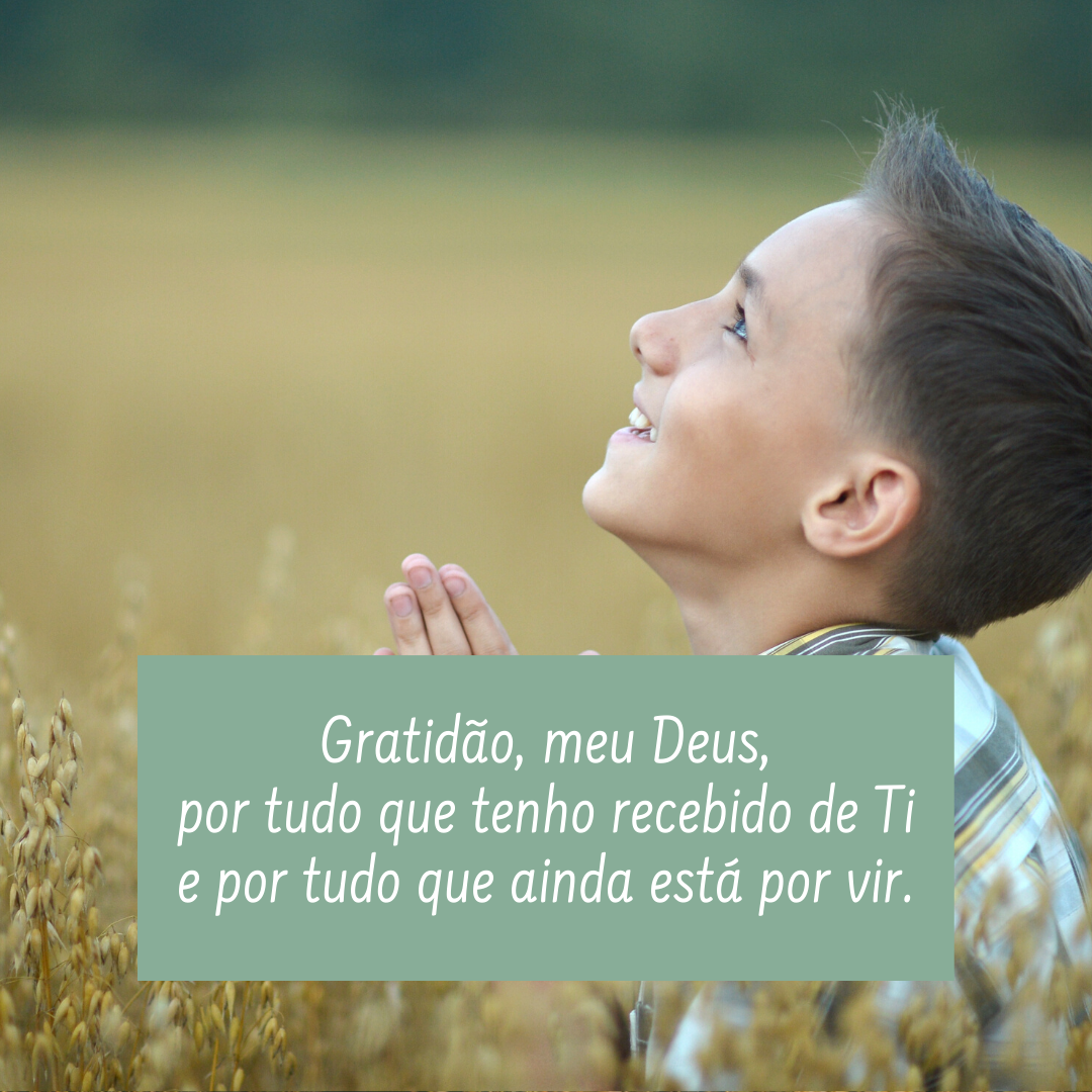 Gratidão, meu Deus, por tudo que tenho recebido de Ti e por tudo que ainda está por vir.