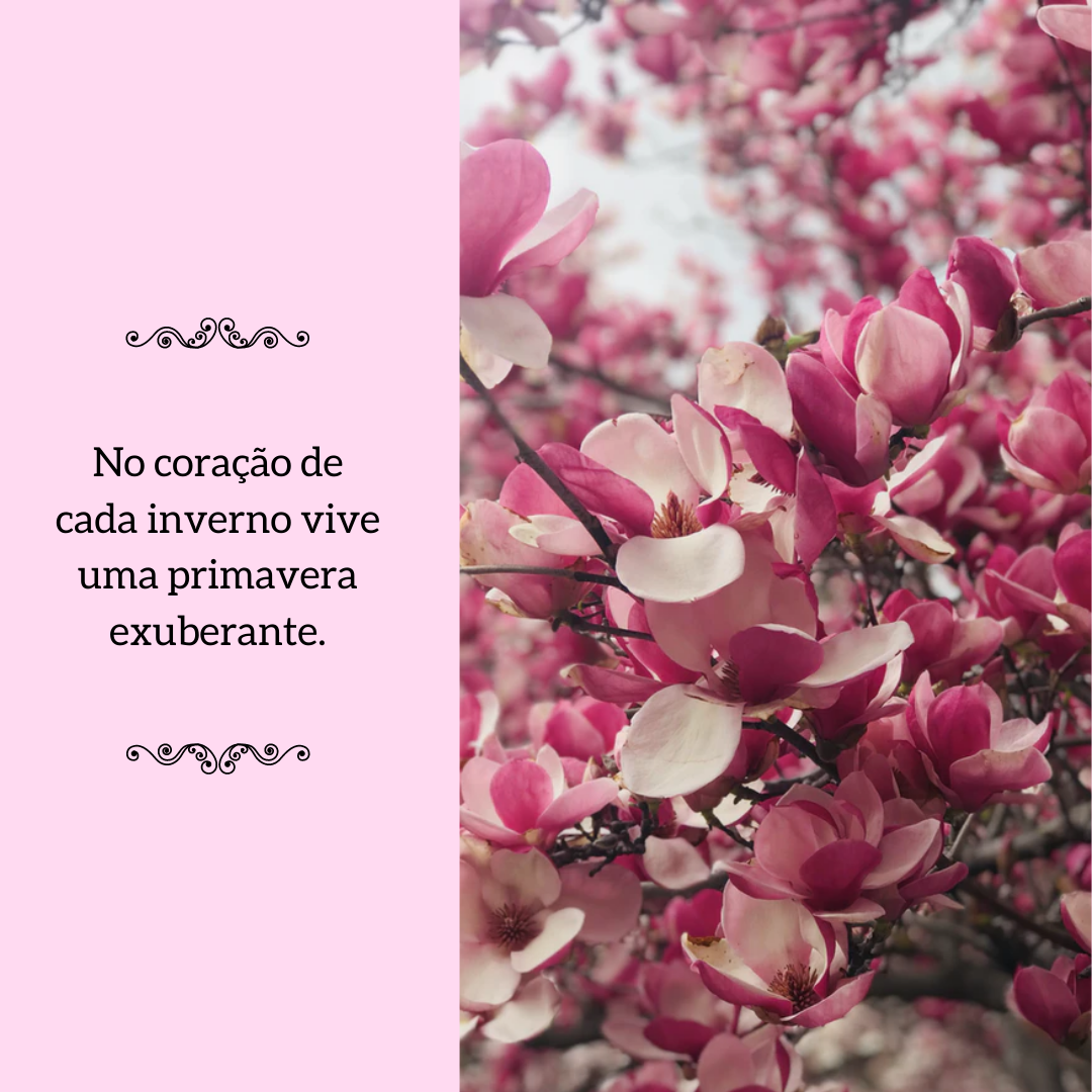 No coração de cada inverno vive uma primavera exuberante.