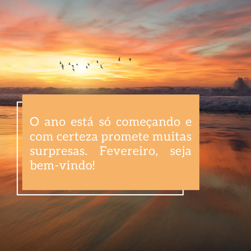 O ano está só começando e com certeza promete muitas surpresas. Fevereiro, seja bem-vindo!