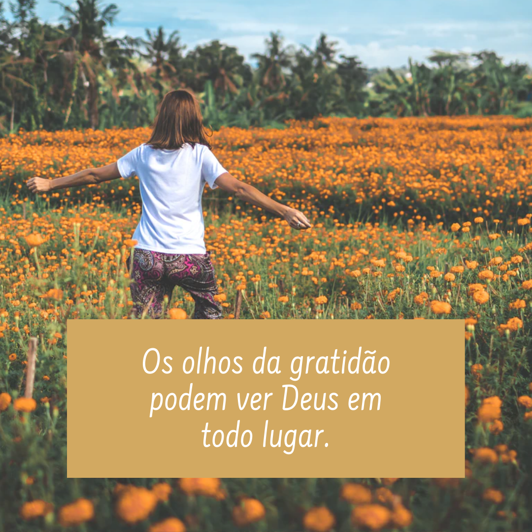 Os olhos da gratidão podem ver Deus em todo lugar.