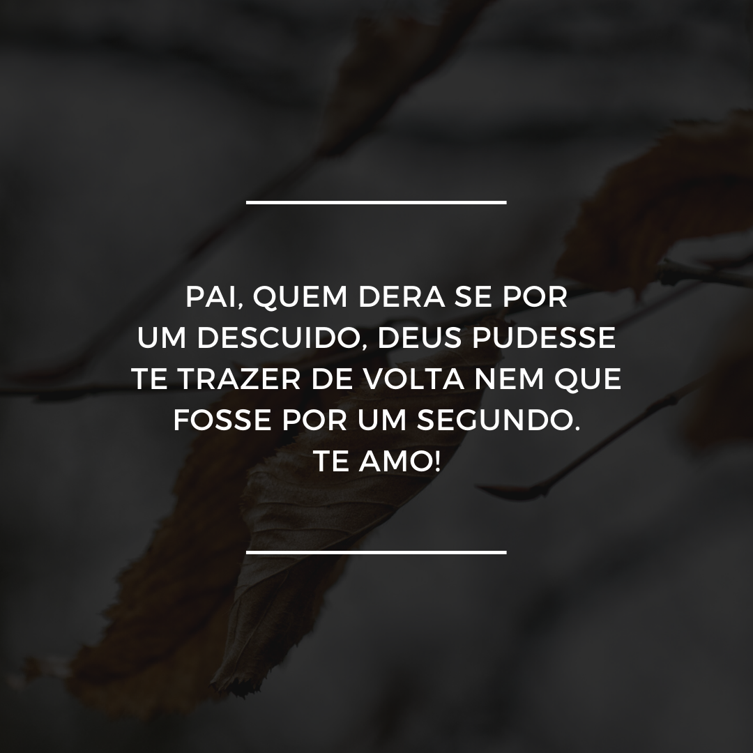 Pai, quem dera se por um descuido, Deus pudesse te trazer de volta nem que fosse por um segundo. Te amo!