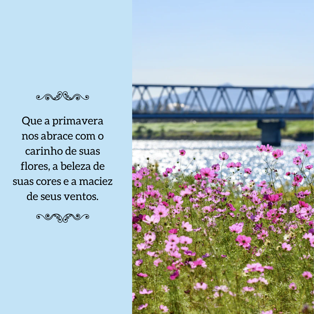 Que a primavera nos abrace com o carinho de suas flores, a beleza de suas cores e a maciez de seus ventos.