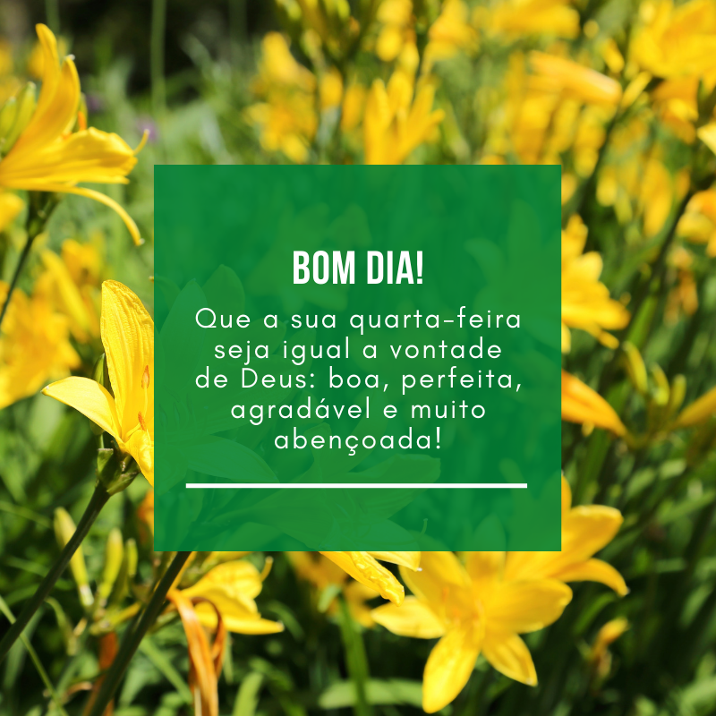 Que a sua quarta-feira seja igual a vontade de Deus: boa, perfeita, agradável e muito abençoada!