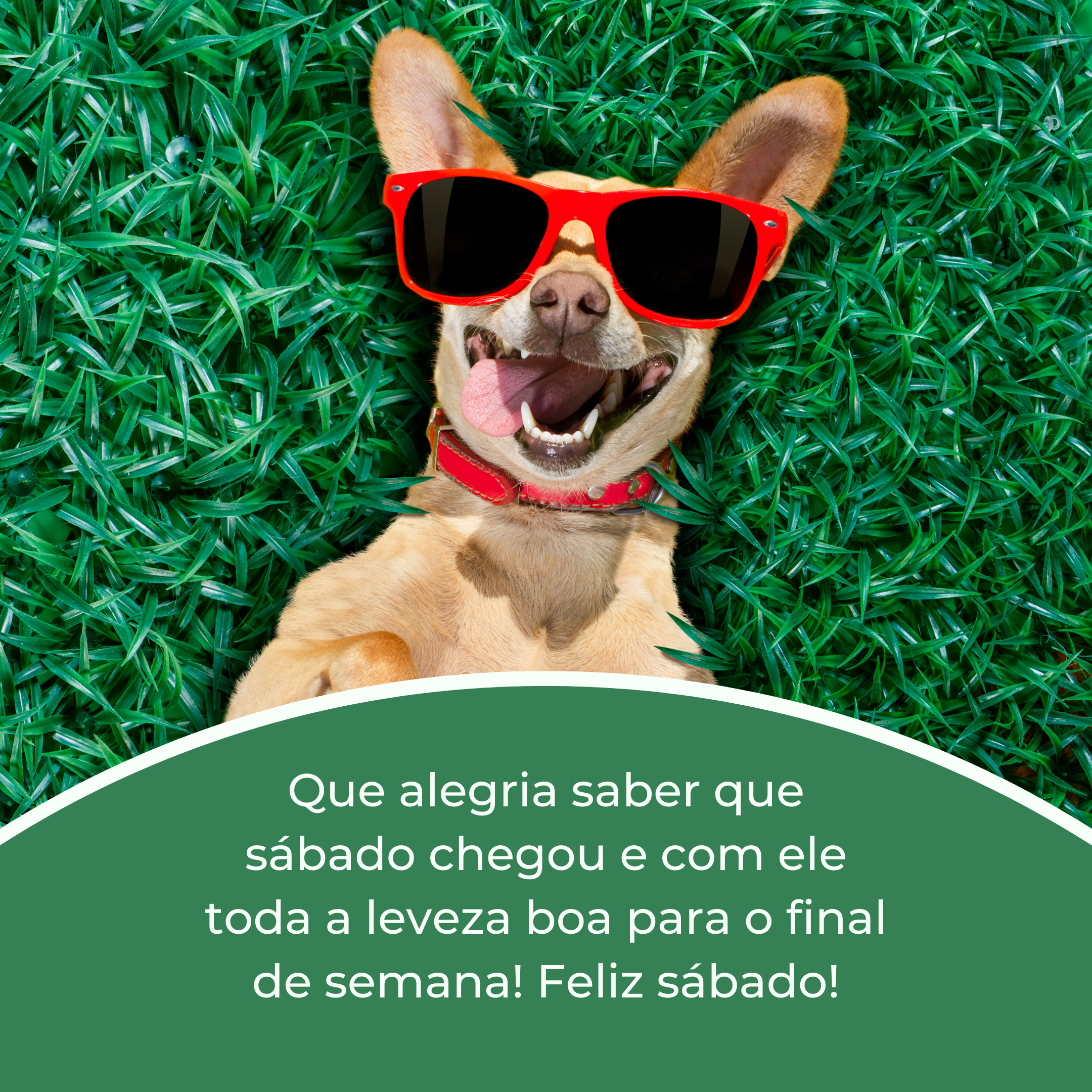 Que alegria saber que sábado chegou e com ele toda a leveza boa para o final de semana! Feliz sábado!