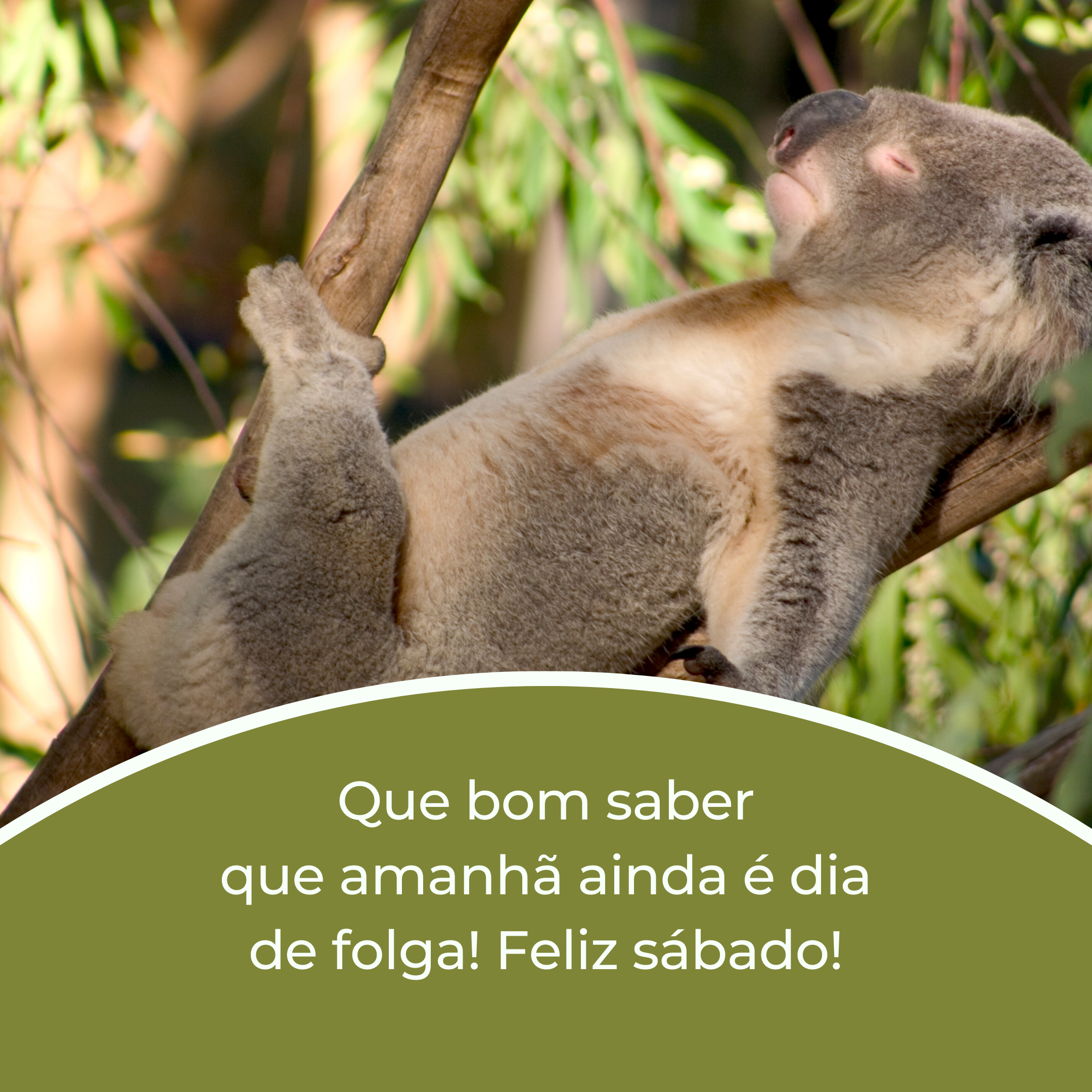 Que bom saber que amanhã ainda é dia de folga! Feliz sábado!