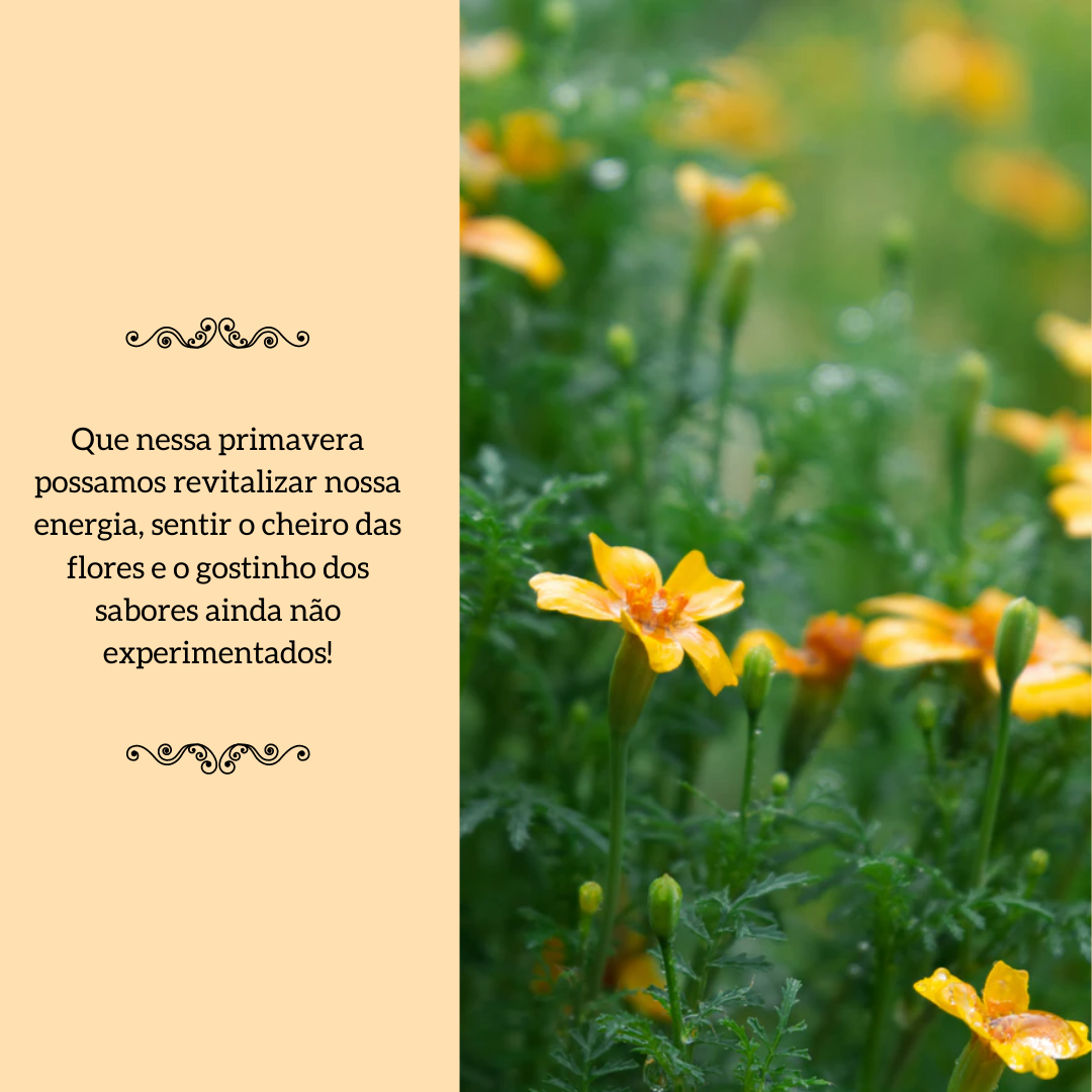 Que nessa primavera possamos revitalizar nossa energia, sentir o cheiro das flores e o gostinho dos sabores ainda não experimentados!