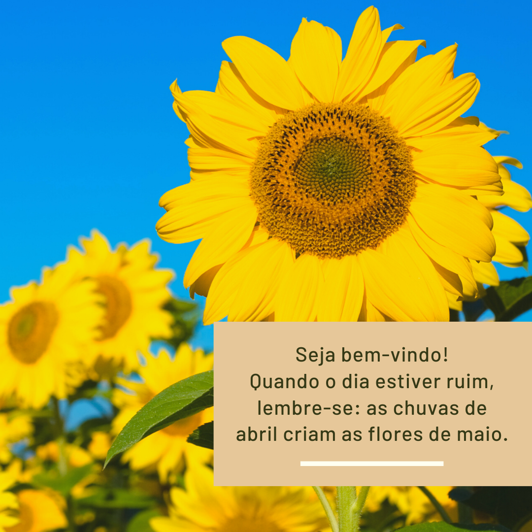 Seja bem-vindo! Quando o dia estiver ruim, lembre-se: as chuvas de abril criam as flores de maio.