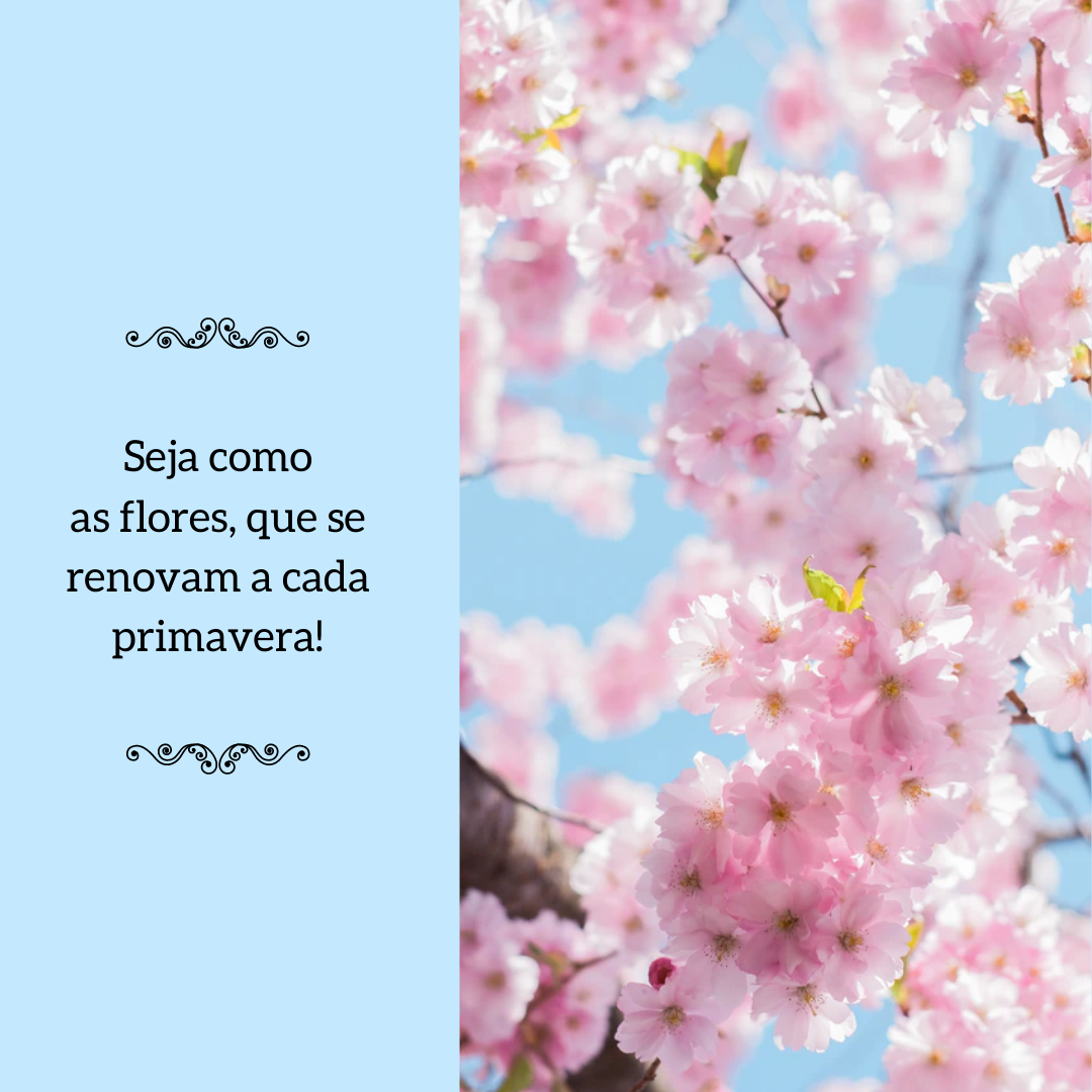 Seja como as flores, que se renovam a cada primavera!