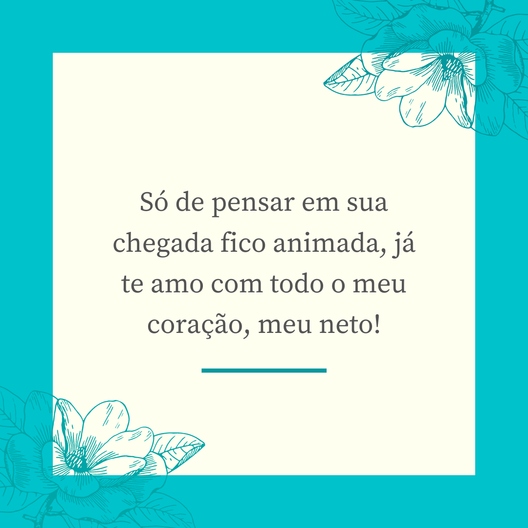 Só de pensar em sua chegada fico animada, já te amo com todo o meu coração, meu neto!